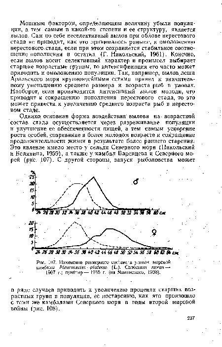 Изменение размерного состава в уловах морской камбалы Pteuronectes ptatessa (L.). Сплошная линия —