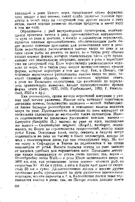 Образование у рыб внутривидовых группировок, отличающихся временем захода в реку, протяженностью миграционного пути по реке и местами, а иногда и характером нерестилищ, является важным приспособлением, обеспечивающим рыбе более полное освоение пригодных для размножения мест в реке. Если нерестилища располагаются высоко вверх по реке и за один сезон рыбы их достичь не могут, то в такую реку обычно входят озимые формы, которые значительную часть пути проделывают как зимовальную миграцию, зимуют в реке и нерестуют уже на следующий год. Если нерестилища располагаются недалеко от моря, то в такую реку входят преимущественно, яровые формы, которые нерестуют в том же году. Так, в Печору, где основные нерестилища расположены высоко вверх по реке, заходит главным образом, озимая — осенняя крупная семга, в реки же Кольского полуострова, где расстояние до нерестилищ сравнительно невелико, входит преимущественно яровая форма семги (Берг, 1937, 1953; Гербильский, 1953; Г. Никольский, 1953 а и др.).