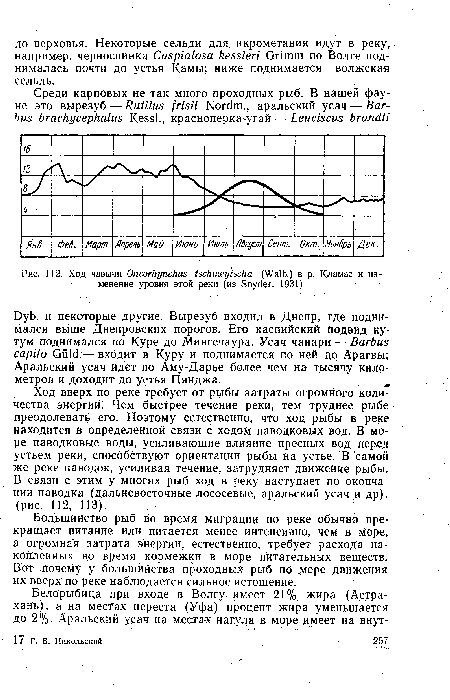 Ход вверх по реке требует от рыбы затраты огромного количества энергии. Чем быстрее течение реки, тем труднее рыбе преодолевать его. Поэтому естественно, что ход рыбы в реке находится в определенной связи с ходом Паводковых вод. В море паводковые воды, усиливающие влияние пресных вод перед устьем реки, способствуют ориентации рыбы на устье. В самой же реке паводок, усиливая течение, затрудняет движение рыбы. В связи с этим у многих рыб ход в реку наступает по окончании паводка (дальневосточные лососевые, аральский усач и др). (рис. 112, 113).