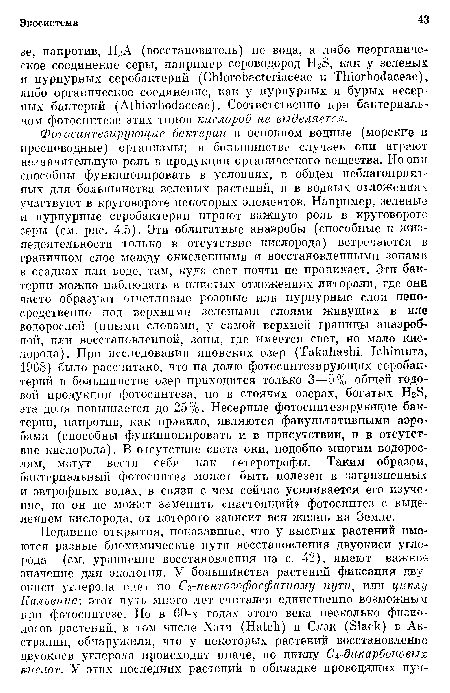 Фотосинтезирующие бактерии в основном водные (морские и пресноводные) организмы; в большинстве случаев они играют незначительную роль в продукции органического вещества. Но они способны функционировать в условиях, в общем неблагоприятных для большинства зеленых растений, и в водных отложениях участвуют в круговороте некоторых элементов. Например, зеленые и пурпурные серобактерии играют важную роль в круговороте серы (см. рис. 4.5). Эти облигатные анаэробы (способные к жизнедеятельности только в отсутствие кислорода) встречаются в граничном слое между окисленными и восстановленными зонами в осадках или воде, там, куда свет почти не проникает. Эти бактерии можно наблюдать в илистых отложениях литорали, где они часто образуют отчетливые розовые или пурпурные слои непосредственно под верхними зелеными слоями живущих в иле водорослей (иными словами, у самой верхней границы анаэробной, или восстановленной, зоны, где имеется свет, но мало кислорода). При исследовании японских озер (Takahashi, Ichimura, 1968) было рассчитано, что на долю фотосинтезирующих серобактерий в большинстве озер приходится только 3—5% общей годовой продукции фотосинтеза, но в стоячих озерах, богатых H2S, эта доля повышается до 25%. Несерные фотосинтезирующие бактерии, напротив, как правило, являются факультативными аэробами (способны функционировать и в присутствии, и в отсутствие кислорода). В отсутствие света они, подобно многим водорослям, могут вести себя как гетеротрофы. Таким образом, бактериальный фотосинтез может быть полезен в загрязненных и эвтрофных водах, в связи с чем сейчас усиливается его изучение, но он не может заменить «настоящий» фотосинтез с выделением кислорода, от которого зависит вся жизнь на Земле.