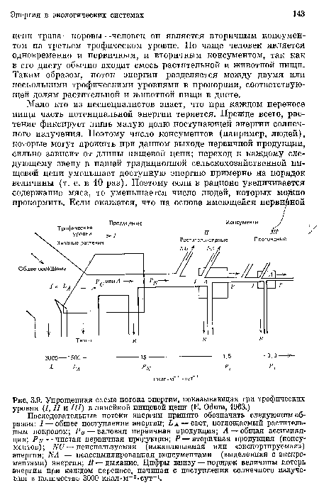 Упрощенная схема потока энергии, показывающая три трофических уровня (I, II и III) в линейной пищевой цепи (Е. Odum, 1963.)
