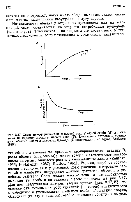 Связь между дыханием и массой тела у одной особи (Л) и дыханием на единицу массы и массой тела (Б). Показатель степени в уравнениях обычно лежит в пределах 0,7—0,8. (С изменениями по Agren, Axelsson, 1980.)