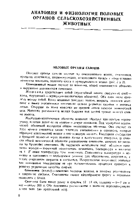 Половые органы самцов состоят из семенникового мешка, семенников, придатка семенников, спермнопроводов, мочеполового канала с придаточными половыми железами, полового члена и препуцнального мешка (рис. 2 и 3).