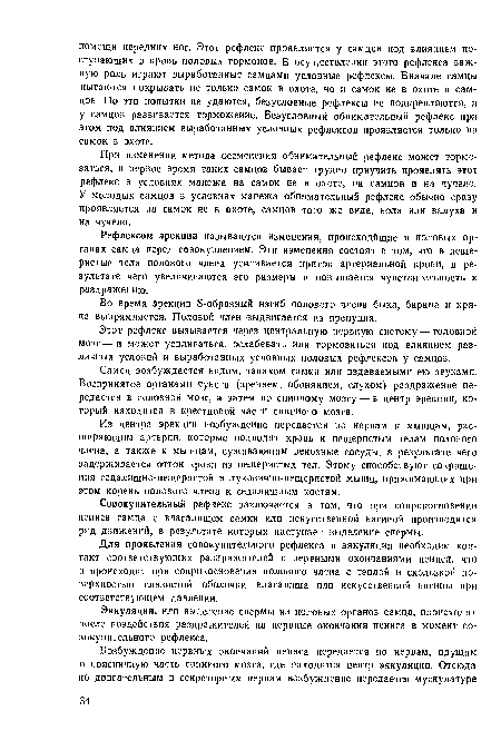 Самец возбуждается видом, запахом самки или издаваемыми ею звуками. Воспринятое органами чувств (зрением, обонянием, слухом) раздражение передается в головной мозг, а затем по спинному мозгу — в центр эрекции, который находится в крестцовой части спинного мозга.