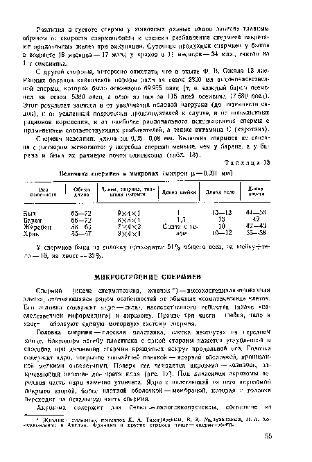 Головка спермия—плоская пластинка, слегка изогнутая на переднем конце. Благодаря изгибу пластинка с одной стороны кажется углубленной и способна при движении спермия вращаться вокруг продольной оси. Головка содержит ядро, покрытое тончайшей пленкой — ядерной оболочкой, пронизанной мелкими отверстиями. Поверх нее находится акрозома — колпачок, закрывающий верхние две трети ядра (рис. 17). Под давлением акрозомы передняя часть ядра заметно утончена. Ядро с налегающей на него акрозомой покрыто второй, более плотной оболочкой — мембраной, которая с головки переходит на остальную часть спермия.