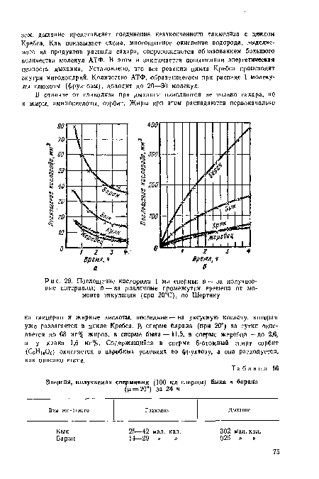 Бык 25—42 мал. кал. 302 мал. кал.