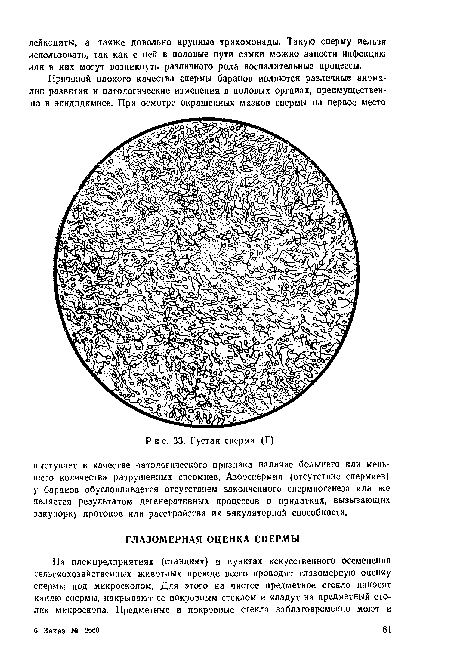 Густая сперма (Г)