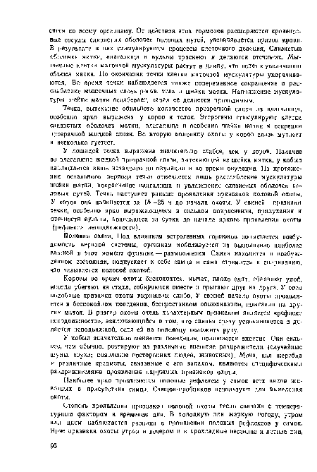 У лошадей течка выражена значительно слабее, чем у коров. Наличие во влагалище жидкой прозрачной слизи, вытекающей из шейки матки, у кобыл наблюдается лишь незадолго до овуляции и во время овуляции. На протяжении остального периода течки отмечается лишь расслабление мускулатуры шейки матки, покраснение влагалища и увлажнение слизистых оболочек половых путей. Течка наступает раньше проявления признаков половой охоты. У коров она начинается за 15—25 ч до начала охоты. У свиней признаки течки, особенно ярко выражающиеся в сильном покраснении, припухании и отечности вульвы, появляются за сутки до начала яркого проявления охоты (рефлекса неподвижности).