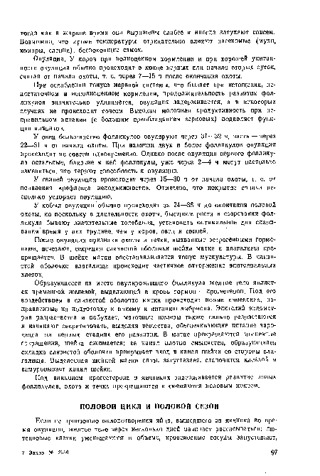 Овуляция. У коров при полноценном кормлении и при хорошей упитанности овуляция обычно происходит в конце первых или начале вторых суток, считая от начала охоты, т. е. через 7—15 ч после окончания охоты.