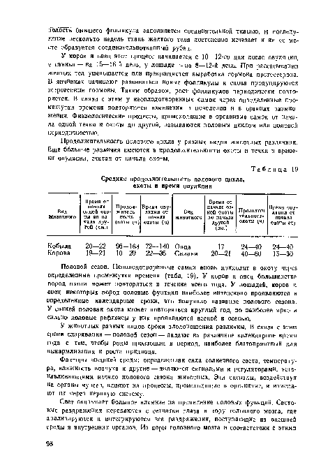 Половой сезон. Неоплодотворенные самки вновь приходят в охоту через определенные промежутки времени (табл. 19). У коров и овец большинства пород охота может повторяться в течение всего года. У лошадей, коров и овец некоторых пород половые функции наиболее интенсивно проявляются в определенные календарные сроки, что получило название полового сезона. У свиней половая охота может повторяться круглый год, ио наиболее ярко и сильно половые рефлексы у них проявляются весной и осенью.