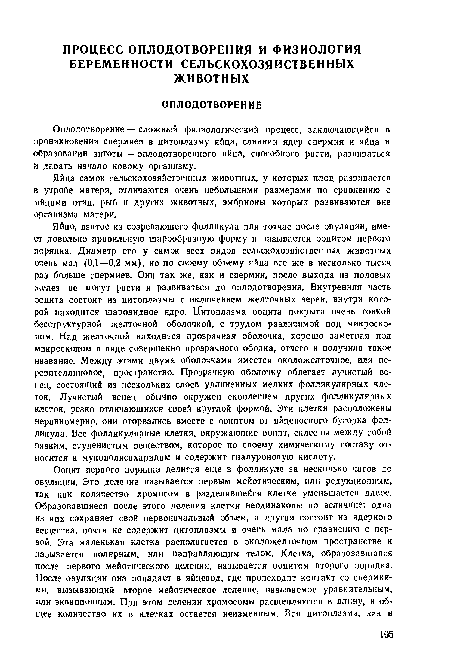 Яйцо, взятое из созревающего фолликула или тотчас после овуляции, имеет довольно правильную шарообразную форму и называется ооцитом первого порядка. Диаметр его у самок всех видов сельскохозяйственных животных очень мал (0,1—0,2 мм), ио по своему объему яйца все же в несколько тысяч раз больше спермиев. Они так же, как и спермин, после выхода из половых желез не могут расти и развиваться до оплодотворения. Внутренняя часть ооцита состоит из цитоплазмы с включением желточных зерен, внутри которой находится шаровидное ядро. Цитоплазма ооцита покрыта очень тонкой бесструктурной желточной оболочкой, с трудом различимой под микроскопом. Над желточной находится прозрачная оболочка, хорошо заметная под микроскопом в виде совершенно прозрачного ободка, отчего и получила такое название. Между этимн двумя оболочками имеется околожелточное, или пе-ревителлиновое, пространство. Прозрачную оболочку облегает лучистый венец, состоящий из нескольких слоев удлиненных мелких фолликулярных клеток. Лучистый венец обычно окружен скоплением других фолликулярных клеток, резко отличающихся своей круглой формой. Эти клетки расположены неравномерно, они оторвались вместе с ооцитом от яйценосного бугорка фолликула. Все фолликулярные клетки, окружающие ооцит, склеены между собой вязким, студенистым веществом, которое по своему химическому составу относится к мукополисахаридам и содержит гиалуроновую кислоту.