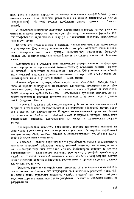 Одновременно с образованием желточного пузыря начинается формирование зародыша и зародышевых (околоплодных) оболочек; водной — амниона, мочевой — аллантоиса и сосудистой — хориона. Образование этих оболочек у лошадей и коров в основном заканчивается через два месяца после оплодотворения яйца, а у овец и свиней — через месяц.