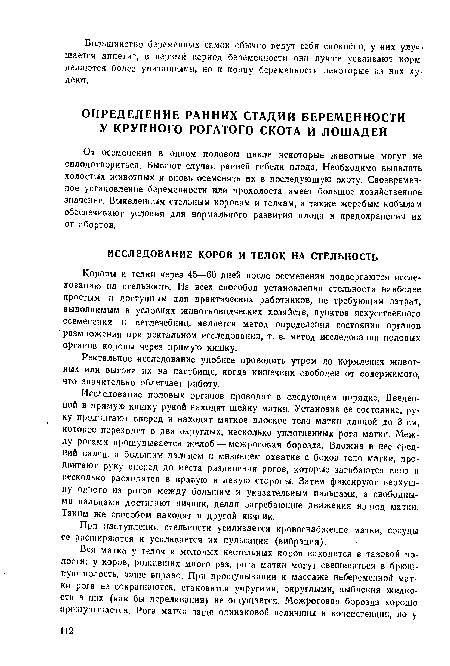 Ректальное исследование удобнее проводить утром до кормления животных или выгона их на пастбище, когда кишечник свободен от содержимого, что значительно облегчает работу.