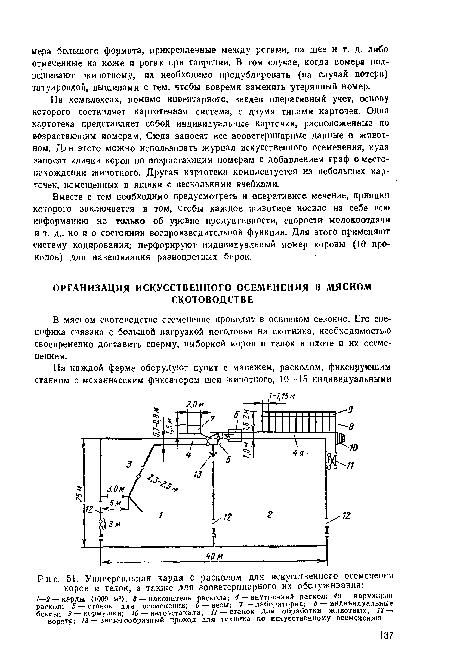 В мясном скотоводстве осеменение проводят в основном сезонно. Его специфика связана с большой нагрузкой поголовья на скотника, необходимостью своевременно доставить сперму, выборкой коров н телок в охоте и их осеменением.