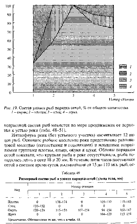 Доклад: Рыбы на литорали