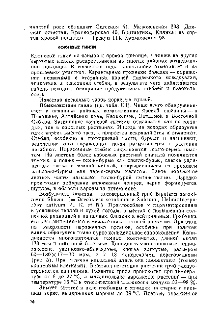 Среди подданных мышиного короля есть мыши трех расцветок бурые белые и черные определи по диаграмме