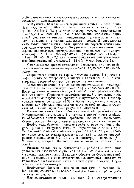 У большинства грибов образуются бесцветные или желто-бу-рые одноклеточные хламидоспоры и желтые, коричневые или синие склероции.