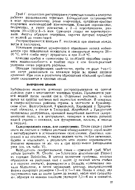 Конидии грибов и сумкоспоры G. saubinetii способны сохранять жизнеспособность в течение года и при благоприятных условиях снова заражать растения.