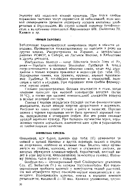 Сильное распространение болезни отмечается в годы, когда цветение проходит при высокой температуре воздуха (выше 24 °С), а также при высокой относительной влажности воздуха в начале молочной спелости.