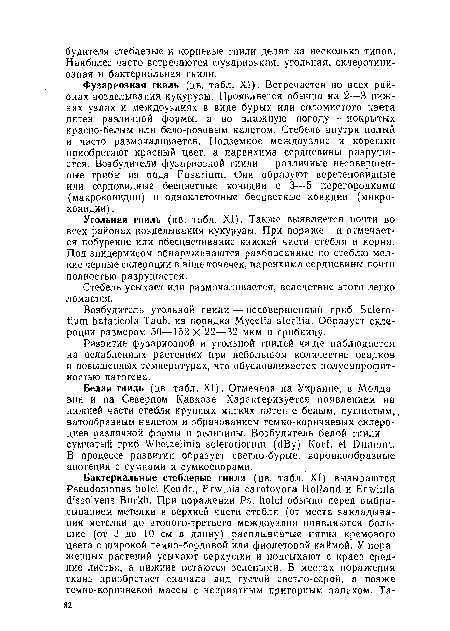 Развитие фузариозной и угольной гнилей чаще наблюдается на ослабленных растениях при небольшом количестве осадков и повышенных температурах, что обусловливается полусапрофит-ностью патогена.