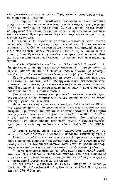 Пораженные E. dissolvens растения отстают в росте, листья их приобретают светлую окраску. На стеблях, обертке початков и листьях (особенно охватывающих основания стебля) появляются коричневые, затем темнеющие пятна, превращающиеся в гниющую мягкую слизистую массу с неприятным запахом. Позже прогнившая ткань ссыхается, и остаются только сосудистые пучки.