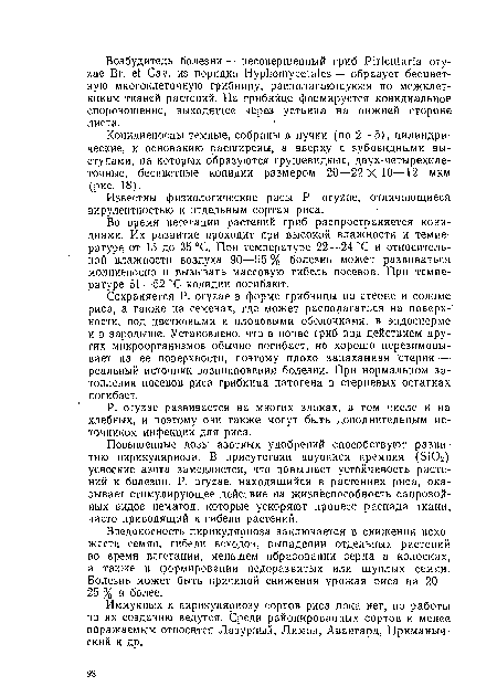 Известны физиологические расы Р. огугае, отличающиеся вирулентностью к отдельным сортам риса.