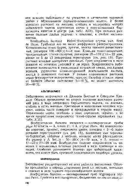 Заболевание распространено во всех районах рисосеяния. Обычно проявляется в период дозревания риса на листьях, метелках и семенах в виде черного порошкообразного налета.