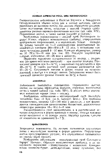 Заболевание выявляется повсеместно. Поражаются листья, стебли, на которых образуются большие, округлые, желтоватые, пятна с темной каймой (цв. табл. XIV). В местах пятен появляется множество черных точек — пикнид.