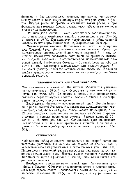 Обыкновенная головня — очень вредоносное заболевание проса. В некоторых хозяйствах недобор урожая достигает 20—30, а иногда и 50 %. Повышенную устойчивость к обыкновенной головне имеют сорта Кинельское 92, Харьковское 86 и др.