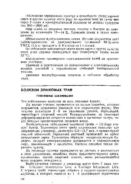 На овсянице головня проявляется на листьях и влагалищах в виде удлиненных, линейных полос бархатисто-черного цвета, заполненных черной споровой массой, легко распыляющейся после разрыва эпидермиса.