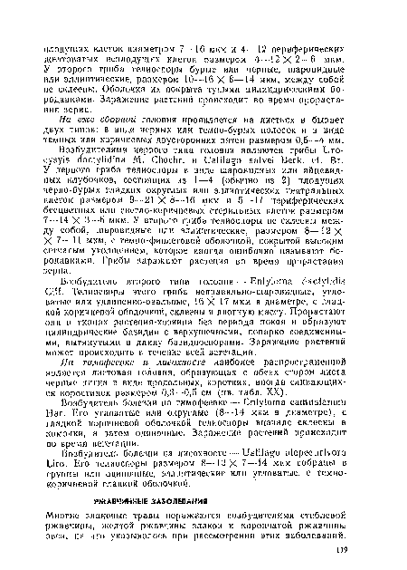 На еже сборной головня проявляется на листьях и бывает двух типов: в виде черных или темно-бурых полосок н в виде темных или коричневых двусторонних пятен размером 0,5--4 мм.