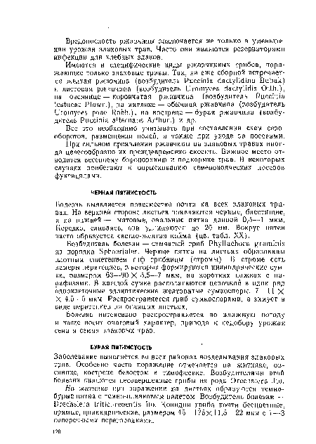 Болезнь выявляется повсеместно почти на всех злаковых травах. На верхней стороне листьев появляются черные, блестящие, а на нижней— матовые, овальные пятна длиной 0,5—1 мкм. Нередко, сливаясь, они удлиняются до 20 мм. Вокруг пятен часто образуется светло-желтая кайма (цв. табл. XX).