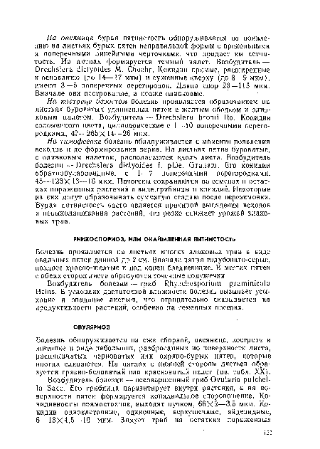 Болезнь проявляется на листьях многих злаковых трав в виде овальных пятен длиной до 2 см. Вначале пятна голубовато-серые, позднее красно-желтые и под конец бледнеющие. В местах пятен с обеих сторон листа образуются точечные подушечки.