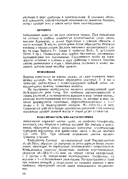 Заболевание поражает многие злаки, но особенно тимофеевку, лисохвост, ежу сборную и райграс высокий. На листьях и влагалищах образуются мелкие несколько вытянутые эллиптические пурпурово-коричневые или фиолетовые пятна с белым центром (цв. табл. XX). При сильном поражении листья преждевременно усыхают.