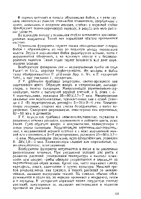 Признаком фузариоза служит также обесцвечивание створок бобов с образованием на них во влажную погоду оранжевого налета. Зерно в пораженных бобах формируется щуплое, часто с морщинистой оболочкой, а во влажную погоду и с беловаторозовым налетом. Такое зерно теряет всхожесть или дает пораженные всходы.