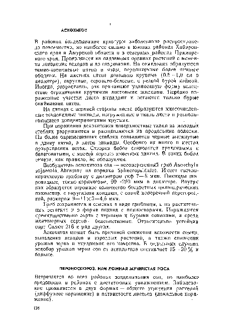 На пятнах с верхней стороны листа образуются многочисленные точковидные пикниды, нагруженные в ткань листа и располагающиеся концентрическими кругами.