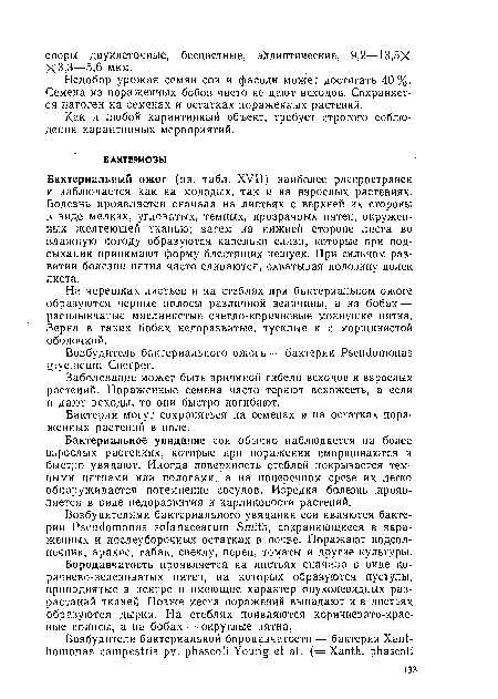 Бородавчатость проявляется на листьях сначала в виде коричнево-зеленоватых пятен, на которых образуются пустулы, приподнятые в центре и имеющие характер опухолевидных разрастаний тканей. Позже места поражений выпадают и в листьях образуются дырки. На стеблях появляются коричневато-красные полосы, а на бобах — округлые пятна.