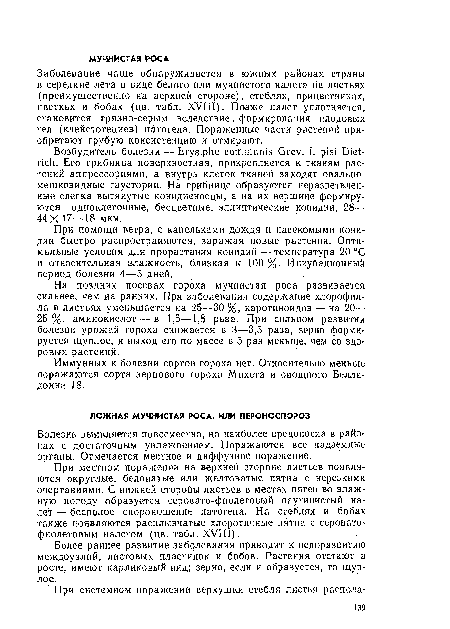 Заболевание чаще обнаруживается в южных районах страны в середине лета в виде белого или мучнистого налета на листьях (преимущественно на верхней стороне), стеблях, прицветниках, цветках и бобах (цв. табл. XVIII). Позже налет уплотняется, становится грязно-серым вследствие. формирования плодовых тел (клейстотециев) патогена. Пораженные части растений приобретают грубую консистенцию и отмирают.