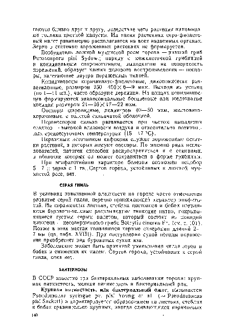 В СССР известно три бактериальных заболевания гороха: крупная пятнистость, мелкая пятнистость и бактериальный рак.