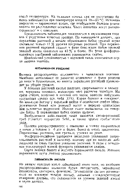 Патоген распространяется с семенами и может сохраняться в почве в течение 5—6 лет и более. Болезнь очень вредоносна. Пораженные растения, как правило, урожая не дают.