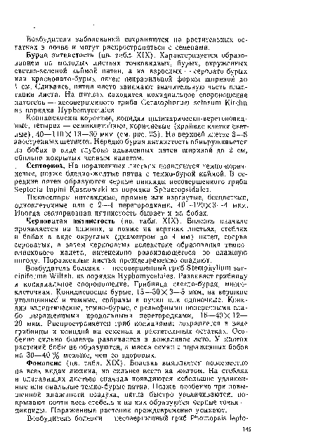 Черноватая пятнистость (цв. табл. XIX). Болезнь вначале проявляется на нижних, а позже на верхних листьях, стеблях и бобах в виде округлых (диаметром до 4 мм) пятен, сперва сероватых, а затем черноватых вследствие образования темно-оливкового налета, интенсивно развивающегося во влажную погоду. Пораженные листья преждевременно опадают.