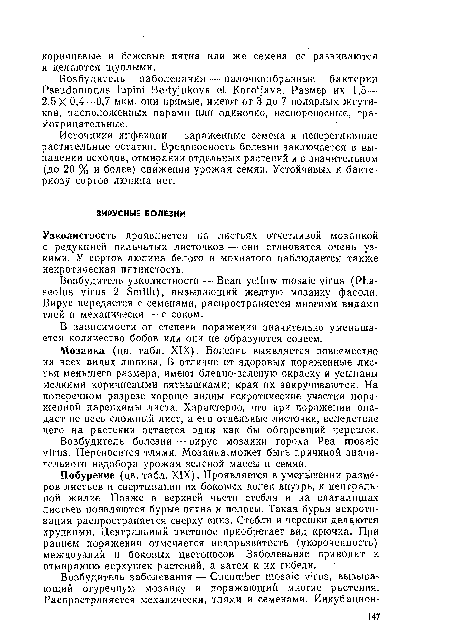 Побуреиие (цв. табл. XIX). Проявляется в уменьшении размеров листьев и свертывании их боковых долек внутрь, к центральной жилке. Позже в верхней части стебля и на влагалищах листьев появляются бурые пятна и полосы. Такая бурая некроти-зация распространяется сверху вниз. Стебли и черешки делаются хрупкими. Центральный цветонос приобретает вид крючка. При раннем поражении отмечается недоразвитость (укороченность) междоузлий и боковых цветоносов. Заболевание приводит к отмираиию верхушек растений, а затем к их гибели.