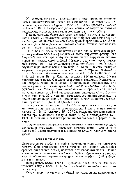 Во время вегетации растений гриб распространяется конидиями, которые прорастают в капельно-жидкой влаге и при температуре 10—29 °С (оптимум 15—20 °С). Развитие болезни наблюдается при влажности воздуха выше 60 % и температуре 15— 19 °С. В семенах и остатках растений Сохраняется в форме грибницы.