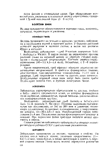 Болезнь проявляется на всходах и взрослых растениях побурени-ем и загниванием корней и корневой шейки. У больных растений поникают верхушки и желтеют листья, а затем все растение буреет и засыхает.