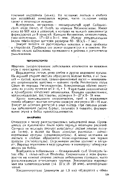 Широкое распространение заболевания отмечается во влажные годы с прохладным летом.