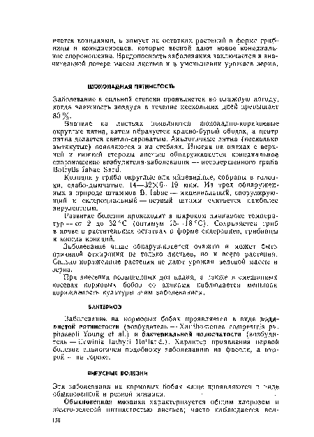 Эти заболевания на кормовых бобах чаще проявляются в виде обыкновенной и резкой мозаики.