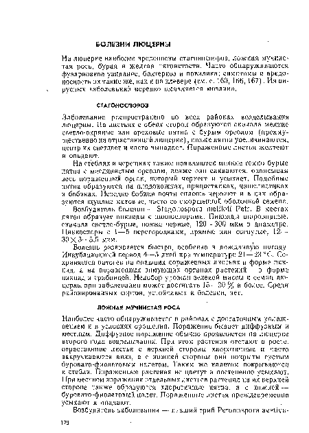 Наиболее часто обнаруживается в районах с достаточным увлажнением и в условиях орошения. Поражение бывает диффузным и местным. Диффузное поражение обычно проявляется на люцерне второго года возделывания. При этом растения отстают в росте, отрастающие листья с верхней стороны хлоротичпые и часто закручиваются вниз, а с нижней стороны они покрыты густым буровато-фиолетовым налетом. Таким же налетом покрываются и стебли. Пораженные растения не цветут и постепенно усыхают. При местном поражении отдельных листьев растения на их верхней стороне также образуются хлоротичные пятна, а с нижней — буровато-фиолетовый налет. Пораженные листья преждевременно усыхают и опадают.