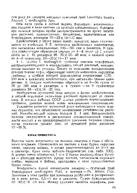 Болезнь часто встречается на посевах люцерны в годы с обильными осадками. Проявляется на листьях в виде бурых округлых пятен, сначала мелких, а позже увеличивающихся до 2—3 мм в диаметре. Края пятен зубчато-бахромчатые (цв. табл. XXI). В центре пятен образуется 1 или 2 бурых воскоподобных бугорка — апотеции патогенов. Кроме листьев, пятнистость поражает стебли, черешки и бобики, проявляясь в виде продолговатых бурых пятен.