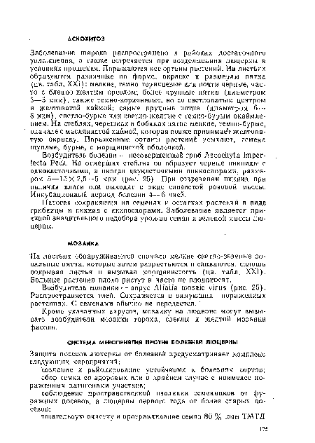 Возбудитель болёзни — несовершенный гриб Ascochyta imperfecta Peck. На отмерших стеблях он образует черные пикниды с одноклеточными, а иногда двуклеточными пикиоспорами, размером 5—15X2,5—5 мкм (рис. 25). При созревании пикнид при наличии влаги они выходят в виде слизистой розовой массы. Инкубационный период болезни 4—6 дней.