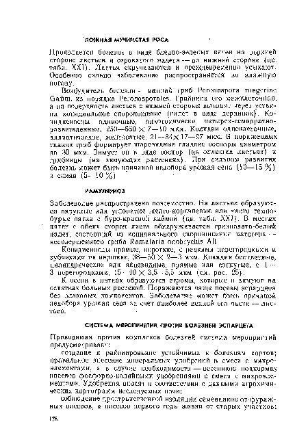 К осени в пятнах образуются стромы, которые и зимуют на остатках больных растений. Поражаются чаще посевы эспарцета без злаковых компонентов. Заболевание может быть причиной недобора урожая сена за счет наиболее ценной его части — листьев.